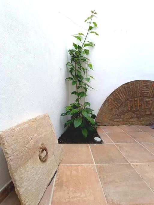 10 Maria - Faro Villa Ngoại thất bức ảnh